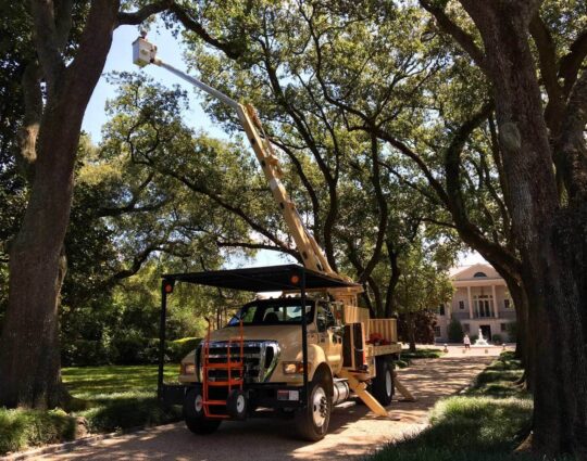 Commercial Tree Service-Loxahatchee Tree Trimming and Tree Removal Services-We Offer Tree Trimming Services, Tree Removal, Tree Pruning, Tree Cutting, Residential and Commercial Tree Trimming Services, Storm Damage, Emergency Tree Removal, Land Clearing, Tree Companies, Tree Care Service, Stump Grinding, and we're the Best Tree Trimming Company Near You Guaranteed!