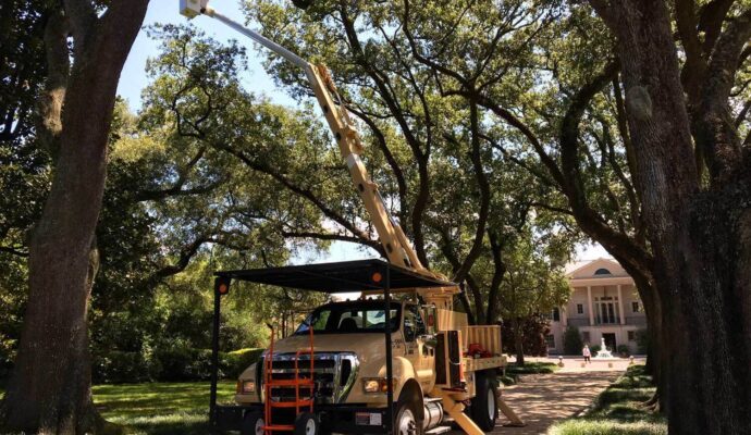 Commercial Tree Service-Loxahatchee Tree Trimming and Tree Removal Services-We Offer Tree Trimming Services, Tree Removal, Tree Pruning, Tree Cutting, Residential and Commercial Tree Trimming Services, Storm Damage, Emergency Tree Removal, Land Clearing, Tree Companies, Tree Care Service, Stump Grinding, and we're the Best Tree Trimming Company Near You Guaranteed!