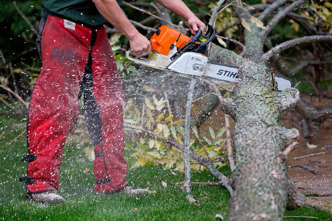 Loxahatchee Tree Trimming and Tree Removal Services Header Image copy-We Offer Tree Trimming Services, Tree Removal, Tree Pruning, Tree Cutting, Residential and Commercial Tree Trimming Services, Storm Damage, Emergency Tree Removal, Land Clearing, Tree Companies, Tree Care Service, Stump Grinding, and we're the Best Tree Trimming Company Near You Guaranteed!
