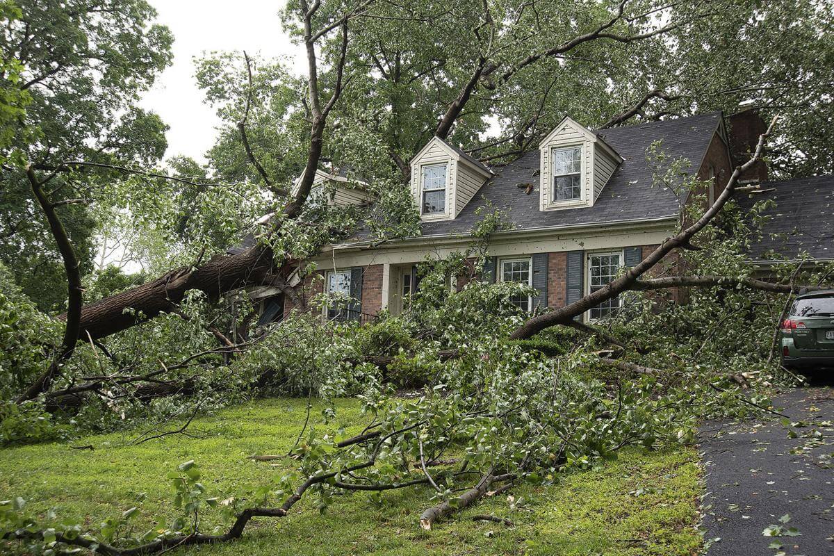Storm Damage-Loxahatchee Tree Trimming and Tree Removal Services-We Offer Tree Trimming Services, Tree Removal, Tree Pruning, Tree Cutting, Residential and Commercial Tree Trimming Services, Storm Damage, Emergency Tree Removal, Land Clearing, Tree Companies, Tree Care Service, Stump Grinding, and we're the Best Tree Trimming Company Near You Guaranteed!