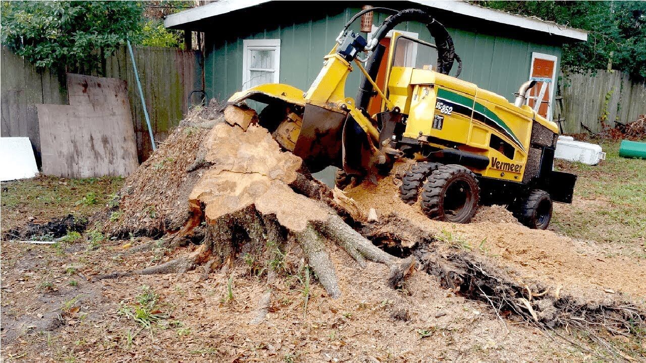 Stump Grinding & Removal-Loxahatchee Tree Trimming and Tree Removal Services-We Offer Tree Trimming Services, Tree Removal, Tree Pruning, Tree Cutting, Residential and Commercial Tree Trimming Services, Storm Damage, Emergency Tree Removal, Land Clearing, Tree Companies, Tree Care Service, Stump Grinding, and we're the Best Tree Trimming Company Near You Guaranteed!