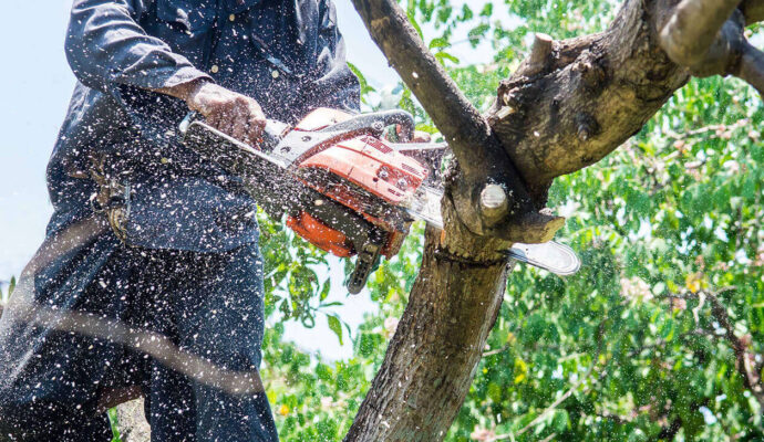 Tree Trimming Services-Loxahatchee Tree Trimming and Tree Removal Services-We Offer Tree Trimming Services, Tree Removal, Tree Pruning, Tree Cutting, Residential and Commercial Tree Trimming Services, Storm Damage, Emergency Tree Removal, Land Clearing, Tree Companies, Tree Care Service, Stump Grinding, and we're the Best Tree Trimming Company Near You Guaranteed!
