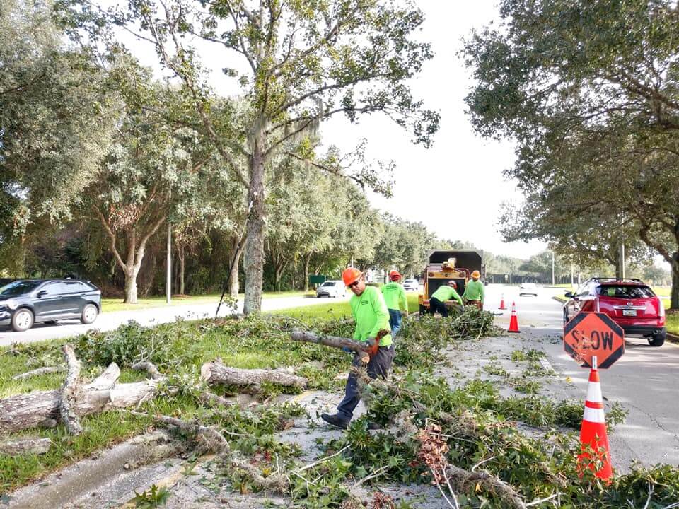 Commercial-Tree-Services-Affordable-Pro-Tree-Trimming-Removal-Team-of-Loxahatchee