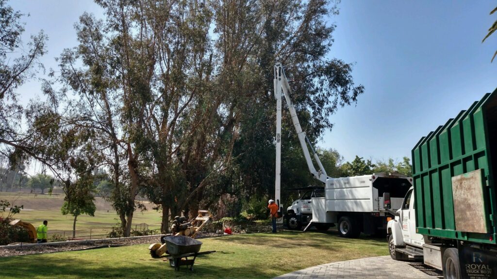 Commercial Tree Services Loxahatchee-Pro Tree Trimming & Removal Team of Loxahatchee