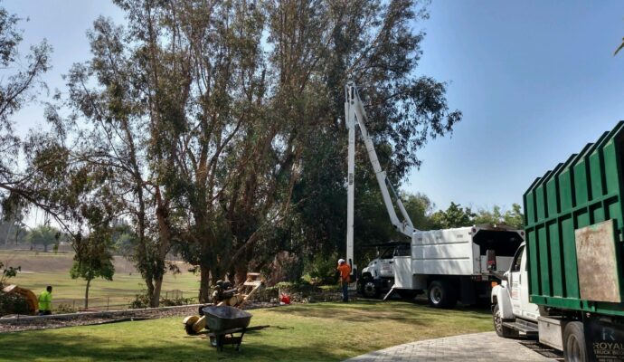 Commercial Tree Services Loxahatchee-Pro Tree Trimming & Removal Team of Loxahatchee