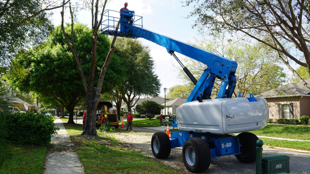 Loxahatchee Residential Tree Services-Pro Tree Trimming & Removal Team of Loxahatchee