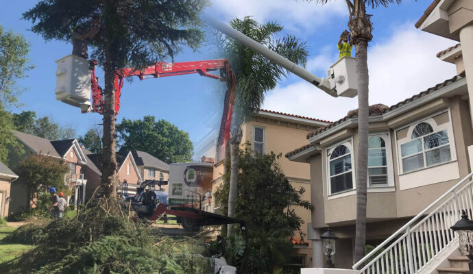 Residential-Tree-Services-Affordable-Pro-Tree-Trimming-Removal-Team-of-Loxahatchee