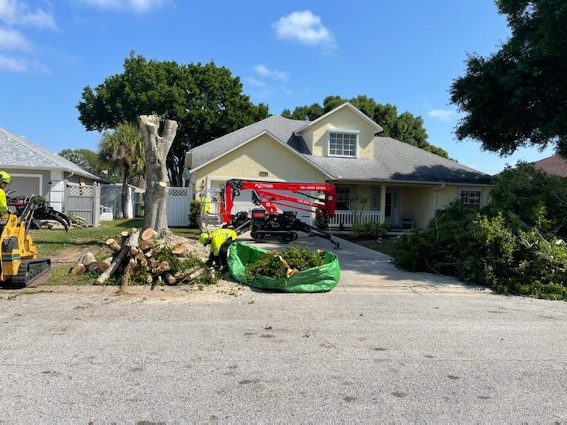 Residential Tree Services Loxahatchee-Pro Tree Trimming & Removal Team of Loxahatchee
