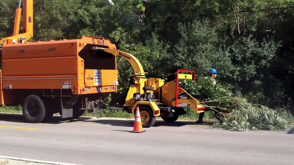 Commercial Tree Services-Experts-Pro Tree Trimming & Removal Team of Loxahatchee