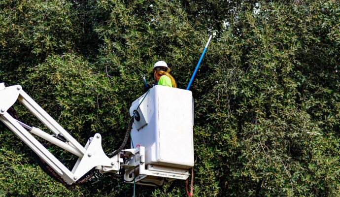 Commercial-Tree-Services-Services Pro-Tree-Trimming-Removal-Team-of- Loxahatchee