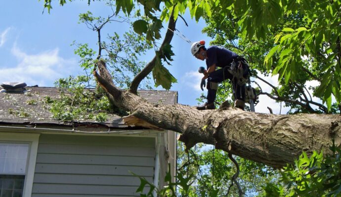 Emergency-Tree-Removal-Services Pro-Tree-Trimming-Removal-Team-of-Loxahatchee