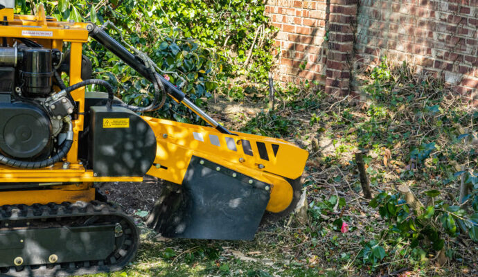 Stump Grinding-Experts-Pro Tree Trimming & Removal Team of Loxahatchee