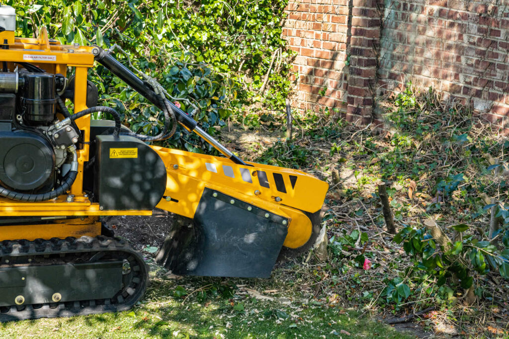 Stump Grinding-Pros-Pro Tree Trimming & Removal Team of Loxahatchee