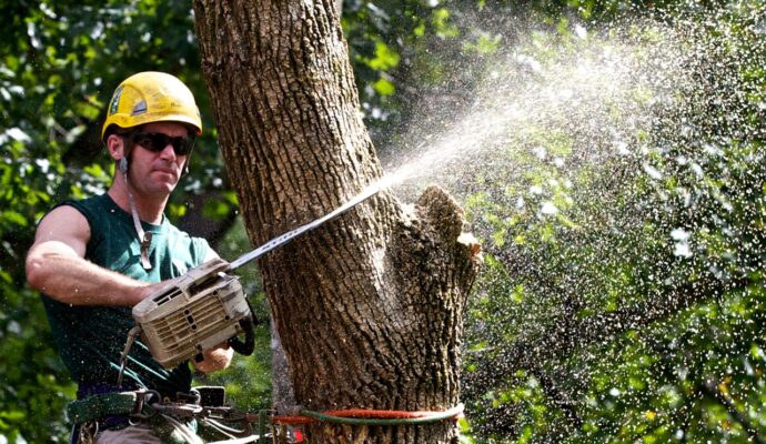 Tree Trimming-Experts-Pro Tree Trimming & Removal Team of Loxahatchee